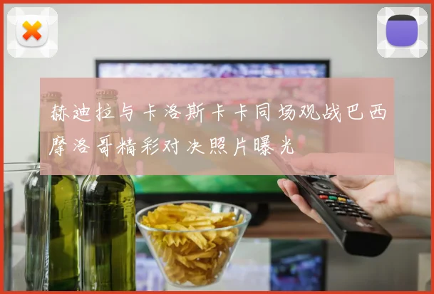 赫迪拉与卡洛斯卡卡同场观战巴西摩洛哥精彩对决照片曝光